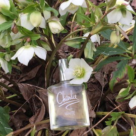 Charlie White - Revlon / Charles Revson