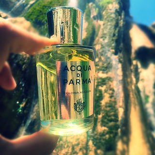 Colonia Assoluta von Acqua di Parma