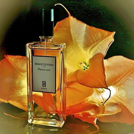Datura noir (Eau de Parfum) - Serge Lutens
