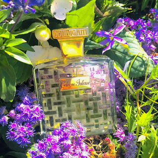 Cologne Intense (Eau de Parfum) von Houbigant