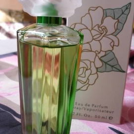 Bois de violette - Serge Lutens