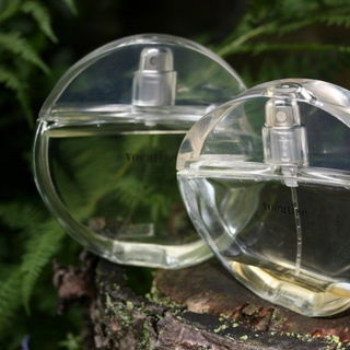 in meinem Garten aufgenommen :-)