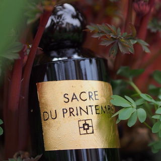 Sacre du Printemps by YS Uzac