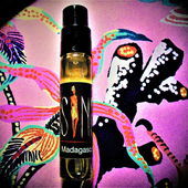 Madagaskar-Brause (von Floyd)