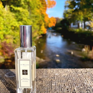 Mimosa & Cardamom (Cologne) von Jo Malone