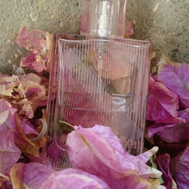 Brit Sheer - Burberry