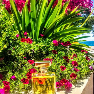 Tiare (Eau de Parfum) von Ormonde Jayne