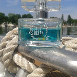 mit Silent Ocean die Sup-Saison eröffnet