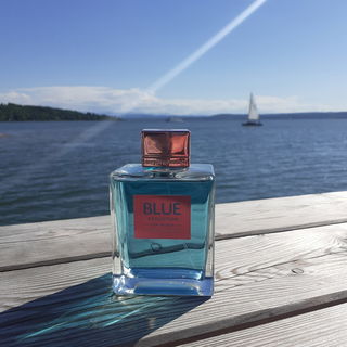Blue Seduction for Women von Banderas