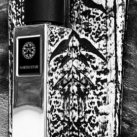 North Star - The Woods Collection