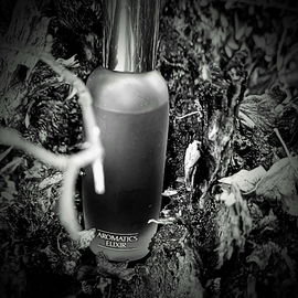 Aromatics Elixir (Eau de Toilette) - Clinique