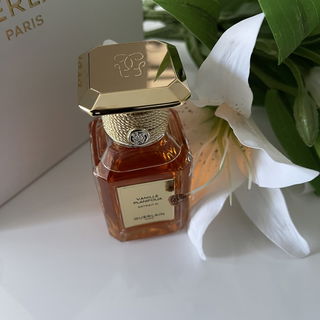 Vanilla Powder (Extrait de Parfum) - Matière Première