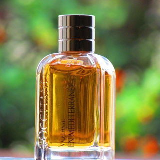 Voyage en Méditerranée - Immortelle de Corse - L'Occitane en Provence