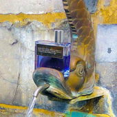 Bitte nicht trinken! (von Salva)