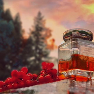 Goutte de Mercure / Ombre Mercure