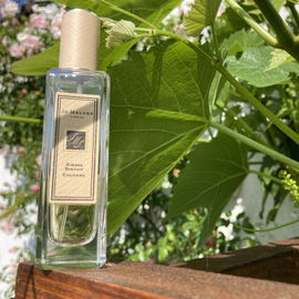 Ginger Biscuit - Jo Malone