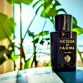 Leather (Eau de Parfum) - Acqua di Parma