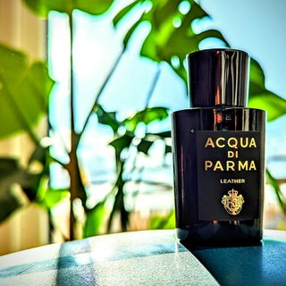 Leather (Eau de Parfum) von Acqua di Parma
