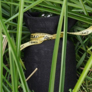 Sacre du Printemps by YS Uzac