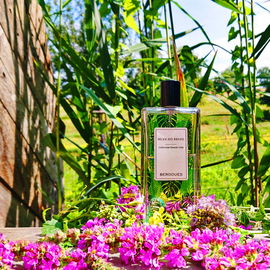 Grün, frisch, aromatisch ‐ ein toller Sommerbegleiter 💚🩷 Danke für's Vorbeischauen 🩷💚