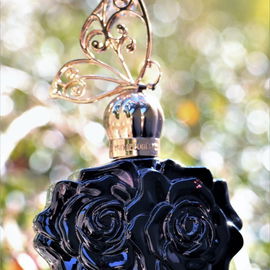 La Nuit de Bohème (Eau de Parfum) - Anna Sui