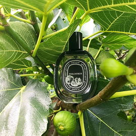 Philosykos (Eau de Parfum) - Diptyque