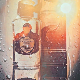 Endymion von Penhaligon's