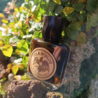 The Wonderland II - Folkwinds