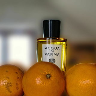 Buongiorno von Acqua di Parma
