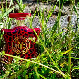 New Bond St. - Bond No. 9
