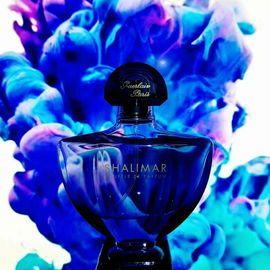 Armani Privé - Cuir Améthyste - Giorgio Armani