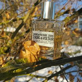 Wintersonne....schön (by Wollspatz)