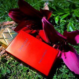 Shaghaf Oud Ahmar (Eau de Parfum) - Swiss Arabian