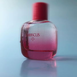 Zara Bloom 03 - Hibiscus - Zara
