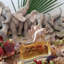 Halt! Wartet doch, ich will auch mit ins Abenteuer! 🐘🐘