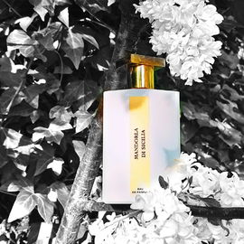 Gold glänzender Blumenpuder mit einem Hauch Frische  🧡 Danke, ich freu mich, wenn es Euch gefällt 🥰