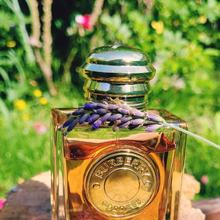 Goddess (Eau de Parfum) von Burberry