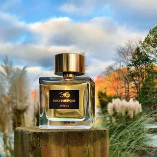 Rose Poetique von Manos Gerakinis