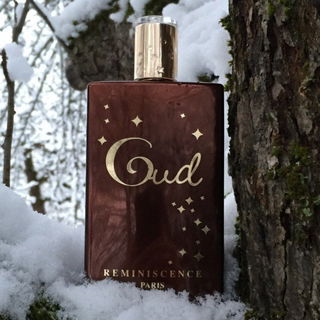 Bois Étoilé / Oud - Réminiscence