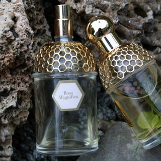 Aqua Allegoria Rosa Magnifica