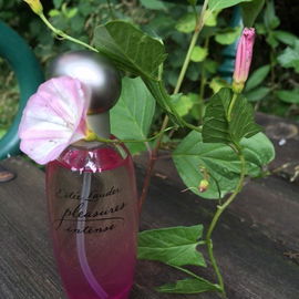 Pleasures Intense - Estēe Lauder