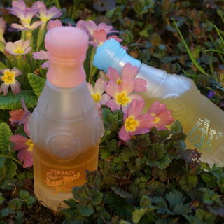 Baby Rose Jeans - Versace