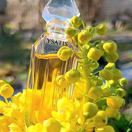 Wish (Eau de Parfum) - Chopard