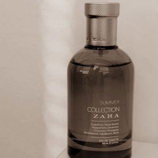 Zara Summer Collection - Zara