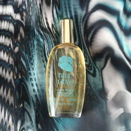 Blue Grass (1989) - Elizabeth Arden
