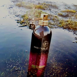 Intense Roses Musk - Montale