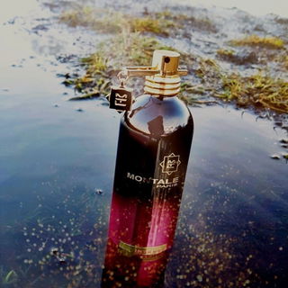 Intense Roses Musk - Montale