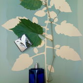 Siebdrucksieb c/o Kunstwerk Berlin. Herzlichen Dank ! (by Leons)