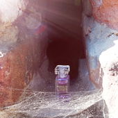 Die kleine Spinne wieder allein im Netz (by Pluto)