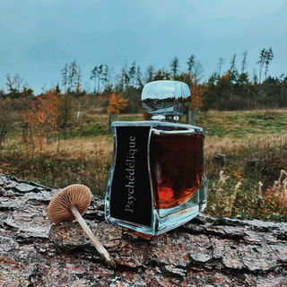 Bei Instagram könnt ihr euch die ganze Fotostrecke anschauen 🤎